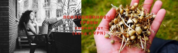 бутик Аркадак