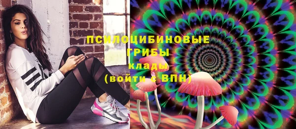 гидра Козельск